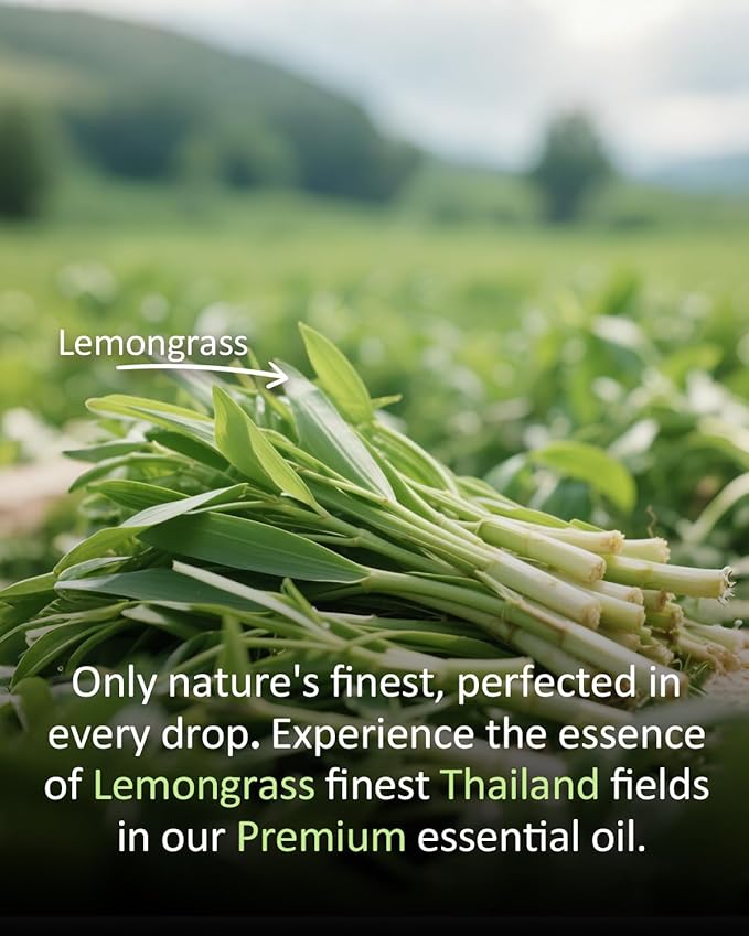 Pure Citronella Essential Oil, 100% Pure Natural Citronella Essential Oil, Premium Grade Essential Oils for Diffusers for Home, Skin, Care Massage, Soap Making, Aromatherapy, 4 Fl Oz | 120ml