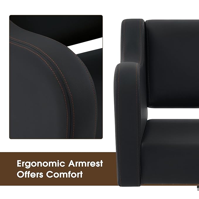 BarberPub Classic Salon Chair for Hair Stylist,Hydraulic Barber Styling Chair,Beauty Salon Spa Equipment 3802 (Black)