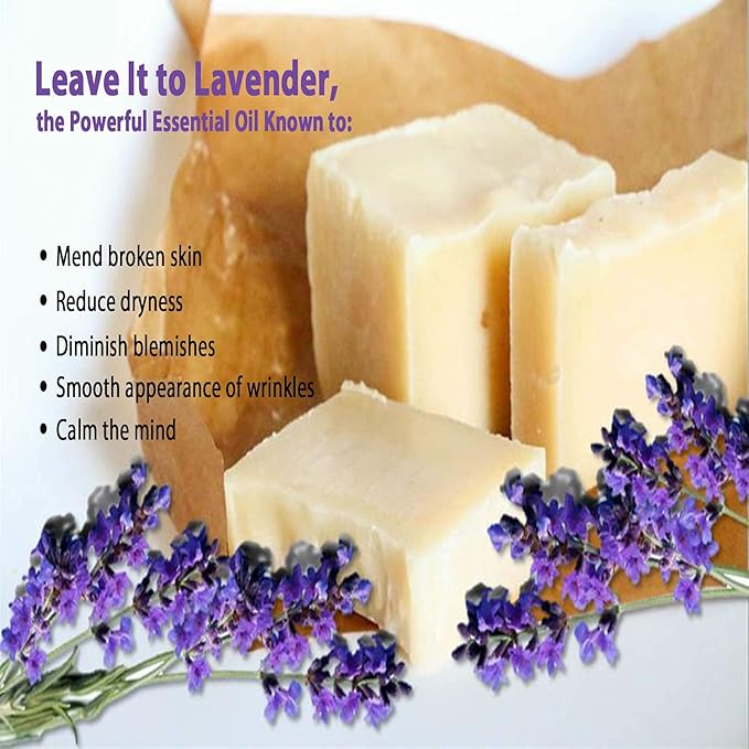 Vintage Tradition Beef Tallow All Purpose Balm - Healing, Hydrating Lavender Oil Skin Care Salve Replaces Body Lotion, Hand Cream, More - Essential Oil, Olive Oil, and Grass-Fed Tallow, 2 fl. oz.