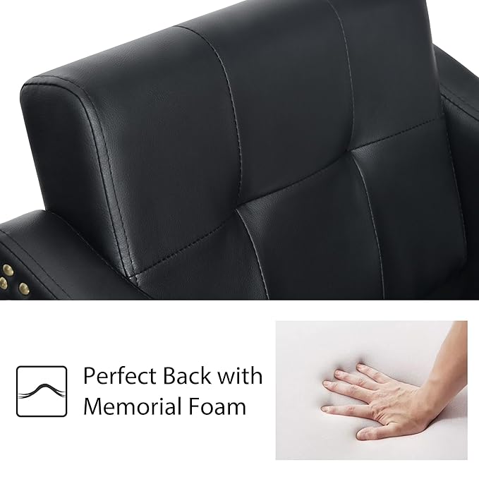 BarberPub Salon Chair for Hair Stylist, Hydraulic Barber Styling Chair, Beauty Spa Equipment 8813 (6" Seat Height Adjustment) (Black)