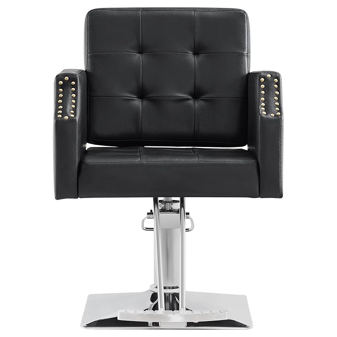 BarberPub Classic Salon Chair for Hair Stylist,Hydraulic Barber Styling Chair,Beauty Salon Spa Equipment 8818 (Black)