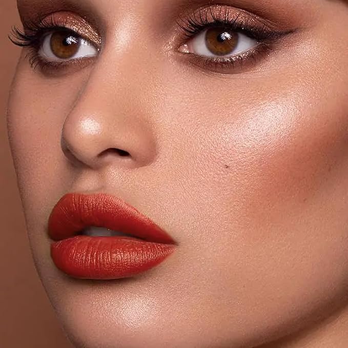 Matte Lipstick for Women, Long Lasting Moisturizing Lip Stain, Waterproof Lip Color Makeup (Salmon Pink)