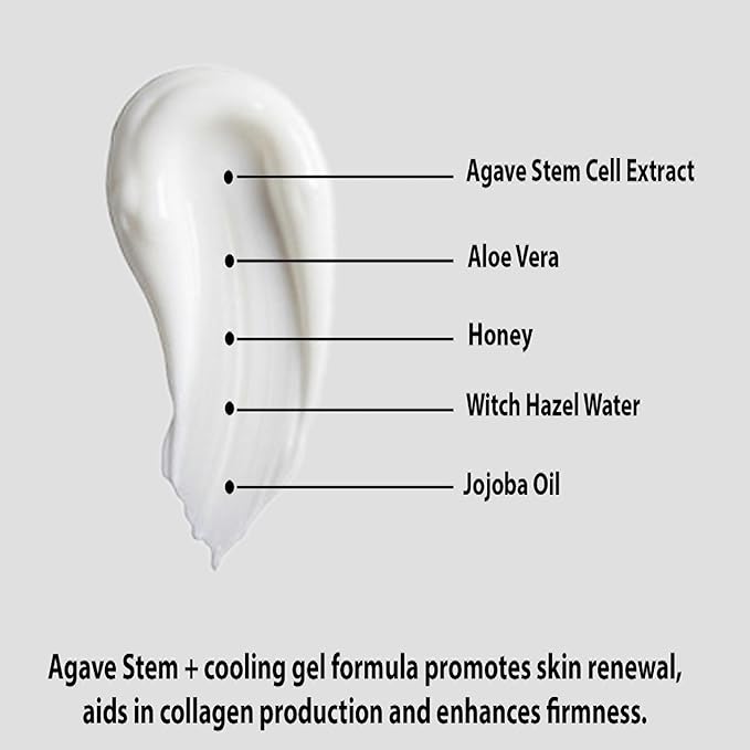 AGAVE STEM + GEL For Face – Groundbreaking Skin Care That Incorporates Agave Stem Cell Extract to Hydrate, Protect & Rejuvinate – Eliminates Fine Lines and Wrinkles – 1.7 Fl Oz
