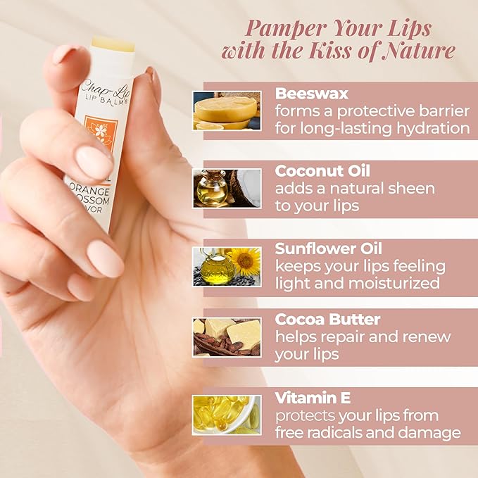 100% Natural Lip Balm Set, Hydrating and Moisturizing Beeswax Natural Flavor Assortment, Lip Moisturizer for Dry Lips, Cocoa Butter, Petroleum Free, 24 Count, 2Pack