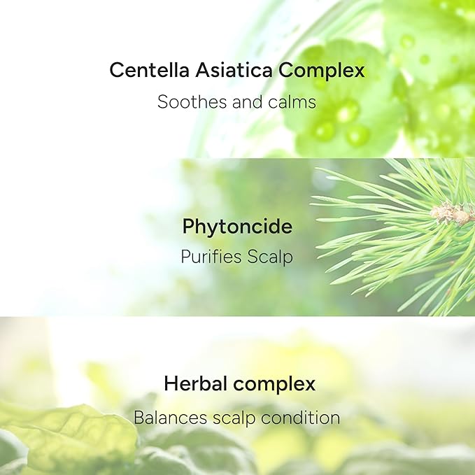 Rosemary Purifying Scalp Shampoo – Korean Deep Cleansing & Cooling Hair Care with Menthol and CICA – Balances Oil, Refreshes Roots & Soothes Itchy Scalp – Paraben, Sulfate & Silicone Free – 500ml