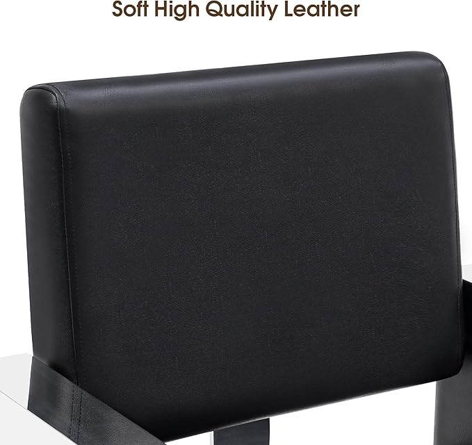 BarberPub Classic Recline Hydraulic Barber Chair Salon Spa Chair Hair Styling Beauty Equipment 3021 (Black)