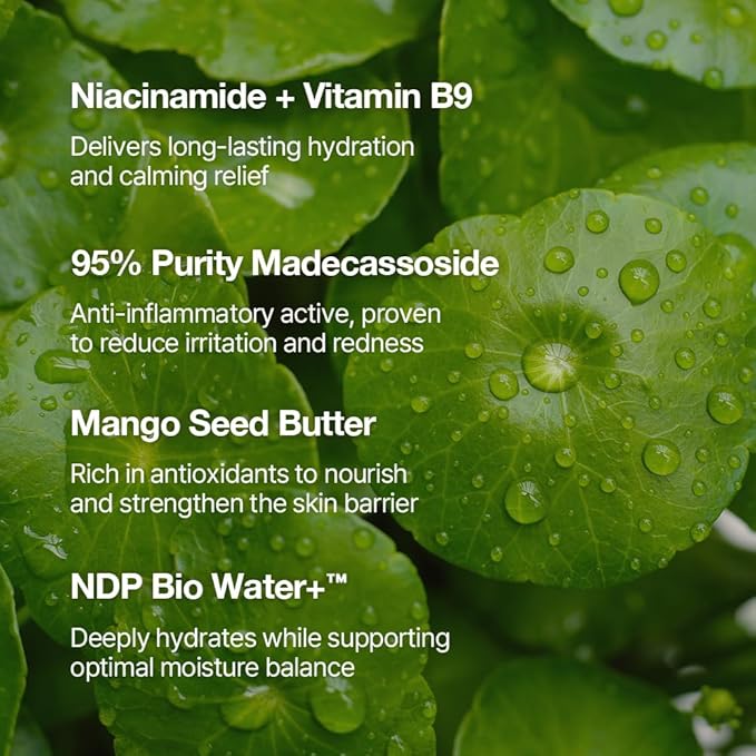 NDP Vitamin B9 Tone-up Cream, Silicone Free Face Primer for Pore Minimizing, 95% Pure Cica Extract, Breathable Skin Formula, Glass Skin & Lightweight, V-Cream Clean K-Beauty (65ml / 2.19 Fl Oz)