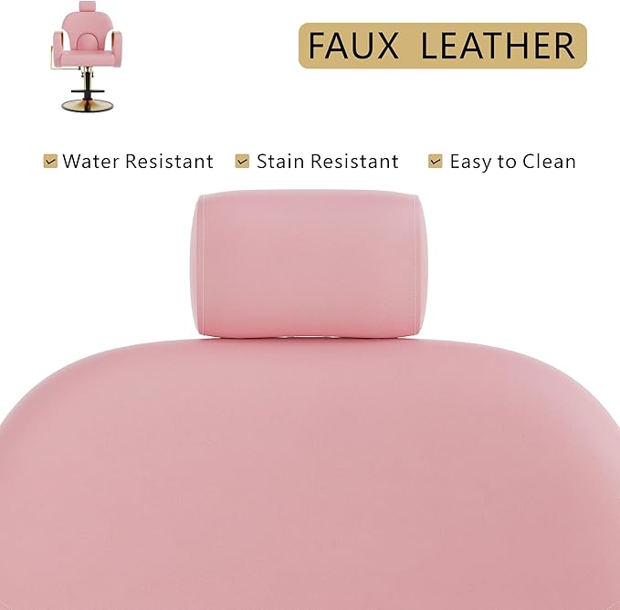 Barber Chair, Reclining Hair Salon Chair, 360 Degrees Swivel Styling Chair, Height Adjustable Hydraulic Shampoo Chairs, Spa Equipment (Pink)