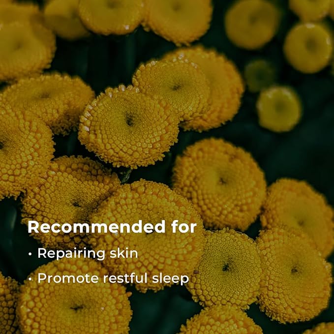 INNA ORGANIC Sheet Mask - Sleep Well Glow, Overnight Renewal, Restful Healing｜EWG & COSMOS certified (Pack of 3) | Blue Tansy Essential Oils Infused Skin Care | Luxury Clean Beauty