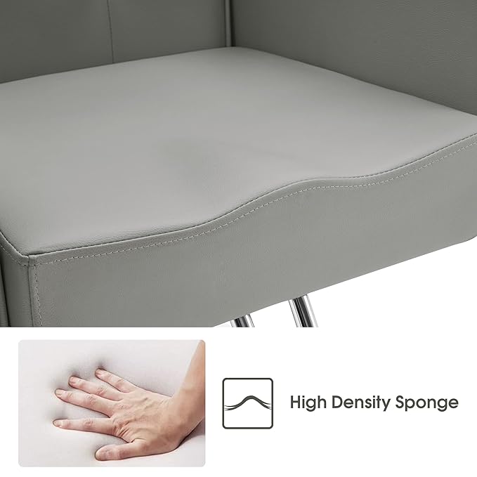 BarberPub Classic Hydraulic Recliner Barber Chair Antique Hair Spa Salon Styling Beauty Equipment 3123 (Grey)