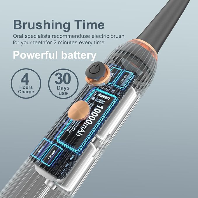 Sonic Electric Toothbrush for Adults with Drying Storage Holder, 8 Brush Heads, Smart Timer, USB Rechargeable, Deep Clean Power – Classic Black Edition