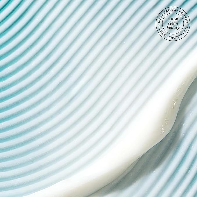 HASK Charcoal Clarifying Dry Shampoo Duo (4.3oz-Qty 2) & Argan Oil Repairing Deep Conditioner Packette, Aluminum-Free, Sulfate-Free, Paraben-Free, Color Safe, for All Hair Types