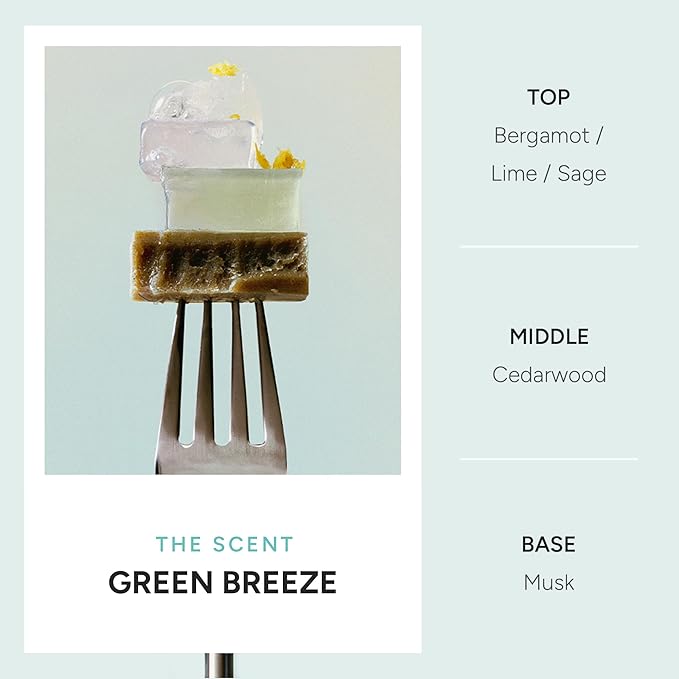 Rosemary Purifying Scalp Shampoo – Korean Deep Cleansing & Cooling Hair Care with Menthol and CICA – Balances Oil, Refreshes Roots & Soothes Itchy Scalp – Paraben, Sulfate & Silicone Free – 500ml