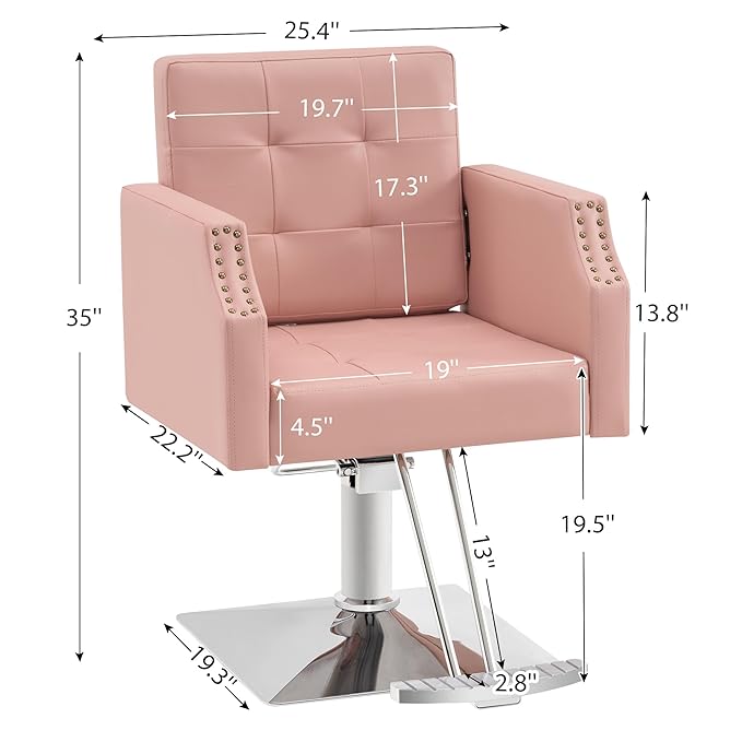 BarberPub Classic Salon Chair for Hair Stylist,Hydraulic Barber Styling Chair,Beauty Salon Spa Equipment 8818 (Pink)