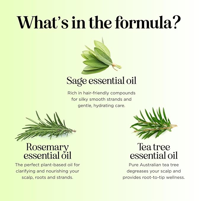 Sulfate Free Shampoo and Conditioner Set - Tea Tree Sage and Rosemary Shampoo and Conditioner for Dry Flaky Scalp Care - Deep Cleansing Color Safe Shampoo and Conditioner for Damaged Dry Hair Care