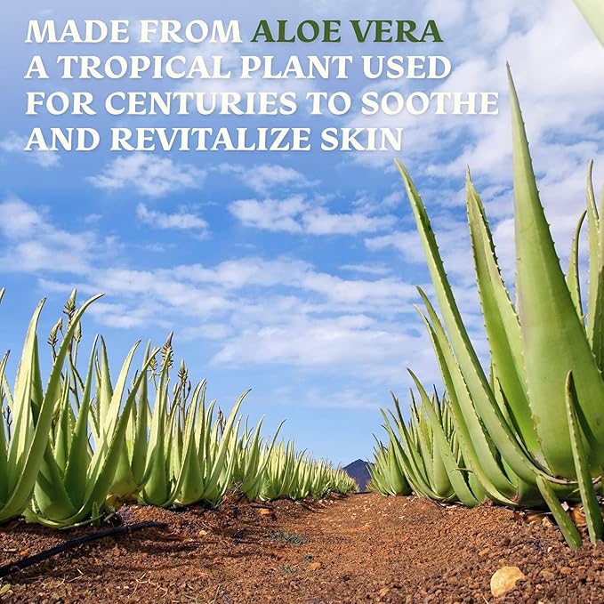 Amazing Aloe Vera Gel - Freshly Cut, 100% Pure Aloe, Premium Quality, Vegan, Unscented - Natural Sunburn Relief, After Shave, Skin, Face & Hair Care 8oz