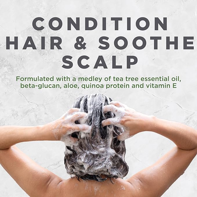 Avalon Organics Conditioner Scalp Treatment Tea Tree, 32 oz