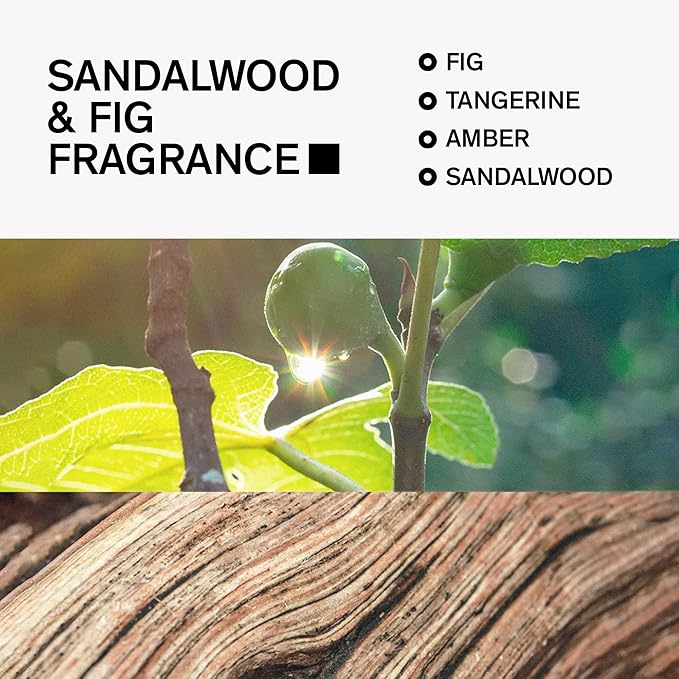 Aluminum-Free Deodorant for Men by Bravo Sierra, 3-Pack - Contains Natural Ingredients – Long Lasting All-Day Odor and Sweat Protection - Sandalwood & Fig, 3.2 oz - Paraben-Free, Vegan & Cruelty-Free