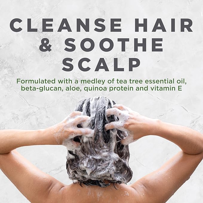 Avalon Organics Scalp Treatment Tea Tree Shampoo, Encourages Scalp Well-Being and Leaves Hair Soft, 32 Fluid Ounces