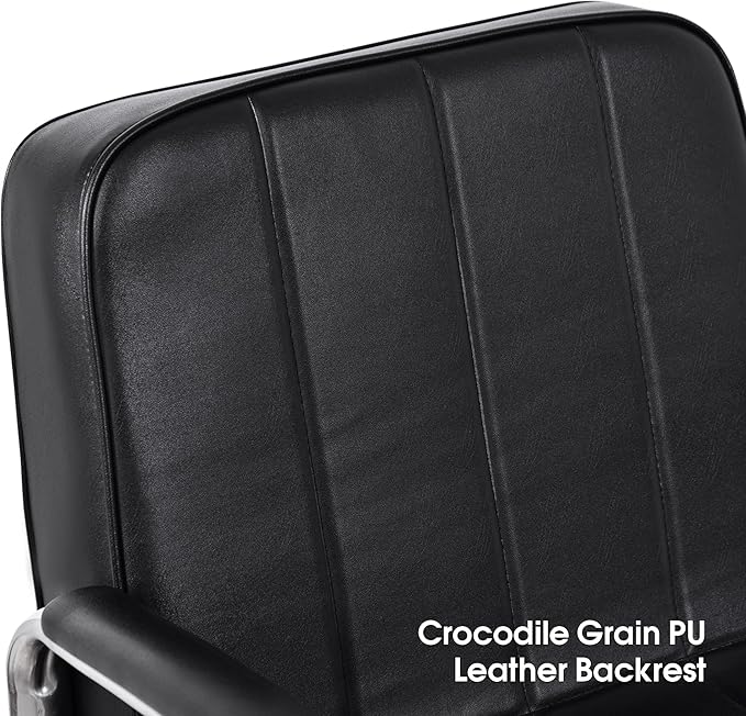 BarberPub Classic Styling Salon Chair for Hair Stylist Hydraulic Barber Chair Beauty Spa Equipment 3128