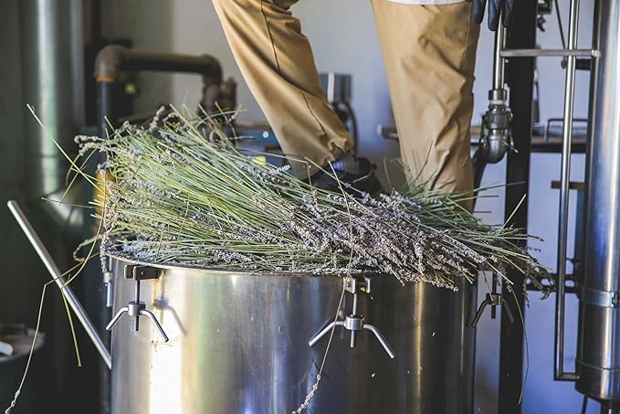 Victoria's Lavender Aromatherapy Body Mist Spray - After Sun Solar Recovery Spray with Aloe Vera plus Lavender Essential Oil - Hydrating, Moisturizing Aloe Vera Mist, Made in the USA, 4 oz (120 ml)