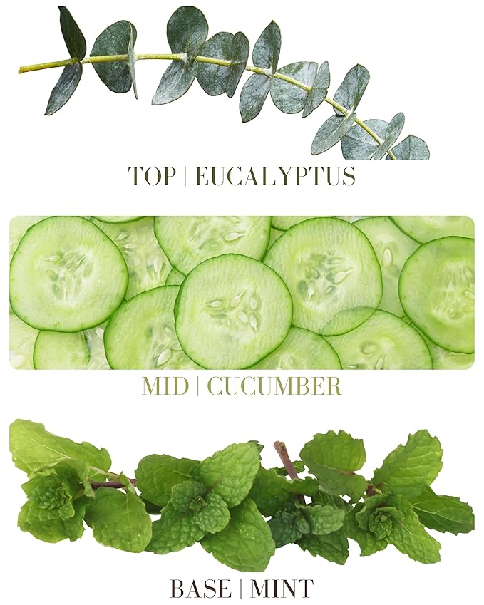 Cucumber Mint Natural Hair & Body Mist Spray, Pure Essential and Fragrance Oils, Alcohol-Free, Handmade in California, 0.5Fl Oz