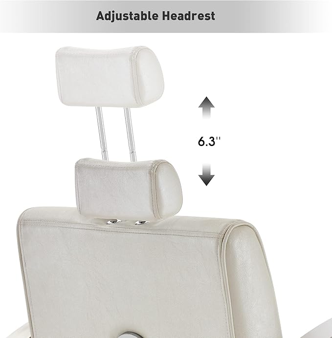 BarberPub Barber Chair for Barbershop,Reclining Salon Chair for Hair Stylist 9180 (Champagne)