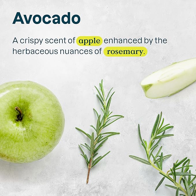 ATTITUDE Hair Shampoo for Sensitive Dry Scalp, EWG Verified, Soothing Oat, Dry and Damaged Hair, Naturally Derived Ingredients, Vegan and Plant-Based, Nourishing, Avocado Oil, 16 Fl Oz