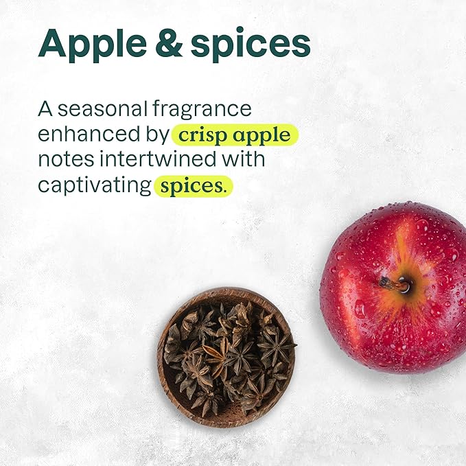 ATTITUDE Liquid Hand Soap, EWG Verified, Plant and Mineral-Based, Vegan Personal Care Products, Apple & Spices, 16 Fl Oz (Pack of 2)