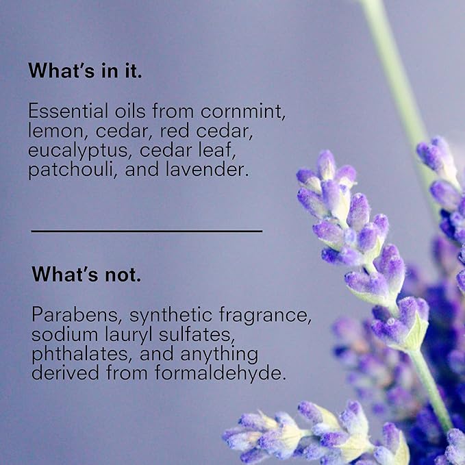 Public Goods Body & Hand Lotion for Women & Men | Natural Moisturizing Daily Lotion for Dry & Itchy Skin | Paraben & Sulfate Free | Made with Organic Essential Oils | Made in Canada | 12 Fl Oz Bottle