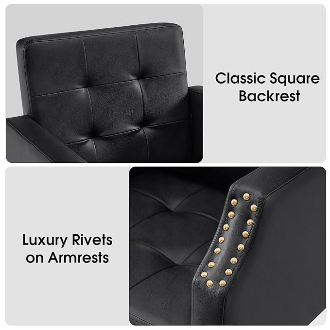 BarberPub Classic Salon Chair for Hair Stylist,Hydraulic Barber Styling Chair,Beauty Salon Spa Equipment 8818 (Black)