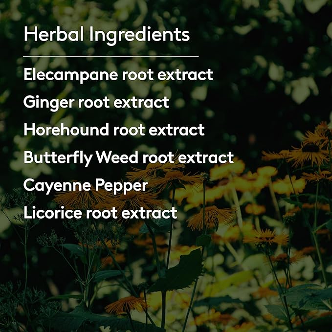 Deep Lung Support Tonic, Traditional Herbal Formula for Respiratory Wellness with Elecampane, White Horehound & Licorice Root, Liquid Absorption, Menthol Flavor, Plant-Based, 7.8 floz