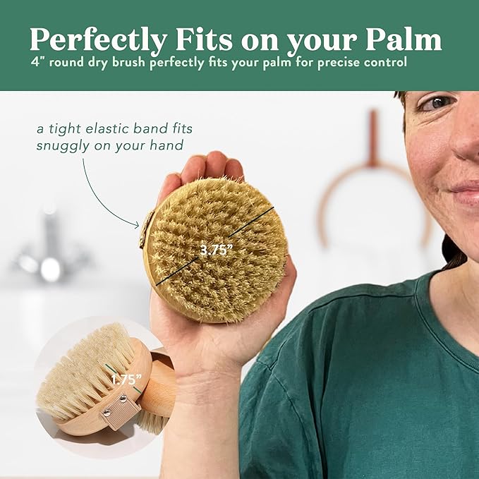 Bare botanics palm size dry