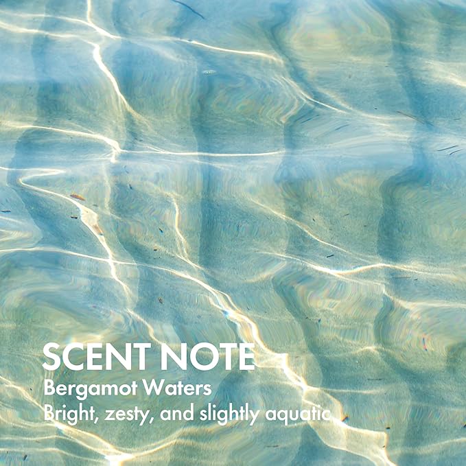 ENJOY Hair Care Holistic Hydrate Conditioner, pH 3.5-4.5, Hair Conditioner For Damaged Hair, Conditioner Curly Hair Products - 10 Fl Oz