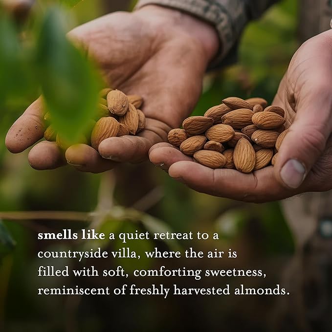 A LA MAISON French Liquid Hand Soap, Almond - Natural Hand Wash Made with Essential Oils - Biodegradable, Plant-Based, Vegan, Cruelty-Free, Alcohol & Paraben Free (16.9 oz, 3 Pack)