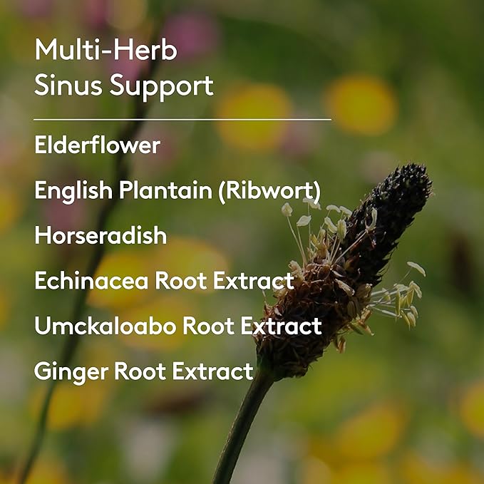 Sinus Ease, Herbal Seasonal Sinus Support with Horseradish, Elderflower, Echinacea & Ginger Root, Liquid Absorption, Herbal Flavor, Alcohol-Free, Plant-Based 6.7 fl oz