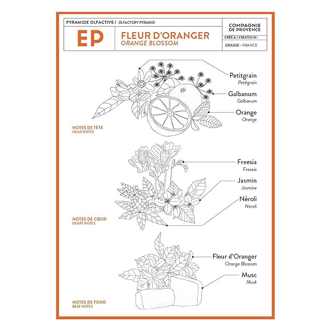 Compagnie de Provence Savon de Marseille Extra Pure Liquid Soap - Orange Blossom - 16.7 Fl Oz Glass Pump Bottle and 33.8 fl oz Plastic Bottle Refill