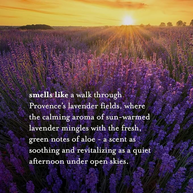 A La Maison de Provence Natural Aluminum-Free Deodorant Traditional French Milled Formula | Long Lasting Safe and Effective | Free of SLS, Parabens and Sulfates (3 x 2.4 oz, Lavender Aloe)