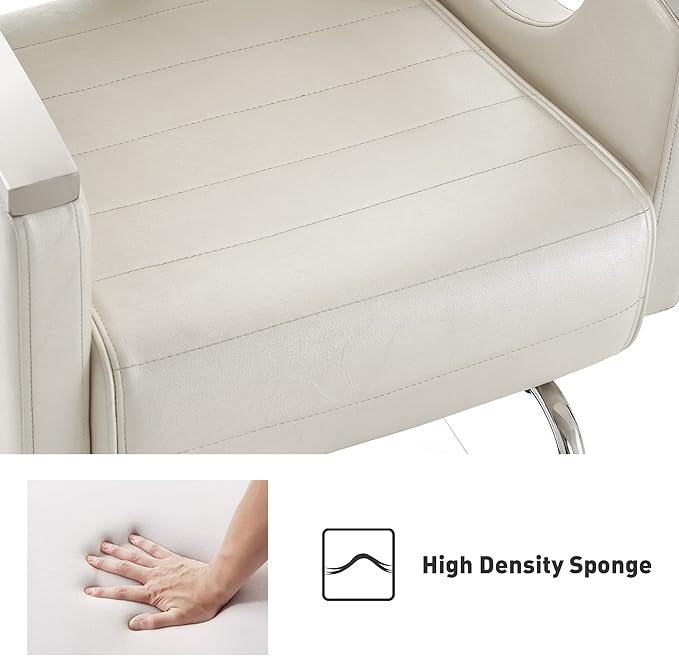 BarberPub Barber Chair for Barbershop,Reclining Salon Chair for Hair Stylist 9180 (Champagne)