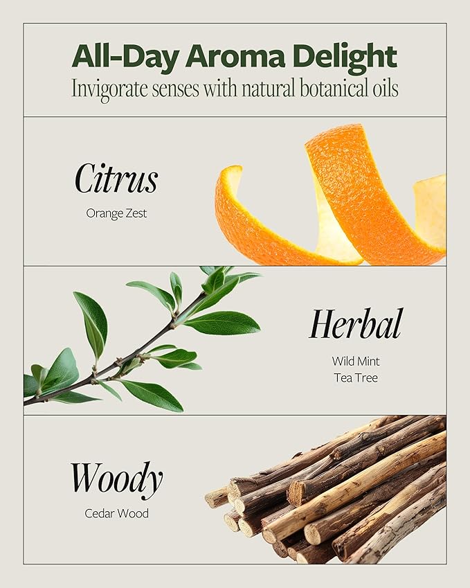 LAPCOS DR.14 REVITALIZING SCALP CARE SHAMPOO