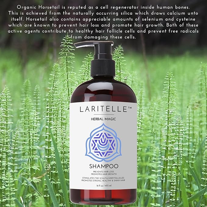 Laritelle Organic Unscented Shampoo Herbal Magic – 17.5 oz – Sulfate-Free, Vegan Hair Growth Shampoo for Sensitive Scalp – Made in California