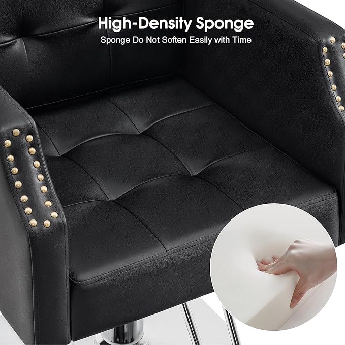 BarberPub Classic Salon Chair for Hair Stylist,Hydraulic Barber Styling Chair,Beauty Salon Spa Equipment 8818 (Black)