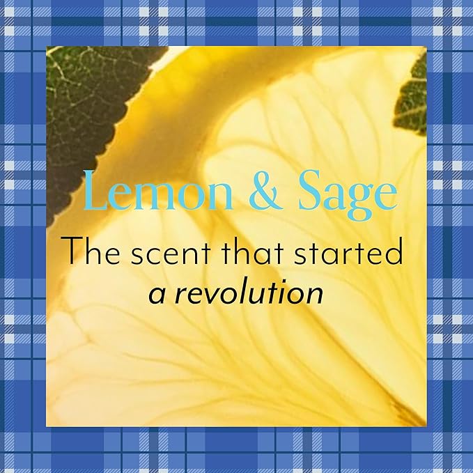 Bliss Gilmore Girls x Lemon & Sage Body Butter | Nourishing All-Over Body Cream for All-Day Moisture