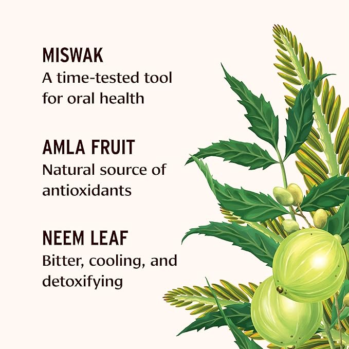 Banyan Botanicals Mint Cardamom Tooth Powder – Ayurvedic Fluoride-Free Toothpaste Alternative with Miswak & Activated Charcoal (from Amla) – 0.75oz, 80+ Uses – Non GMO Sustainably Sourced Vegan