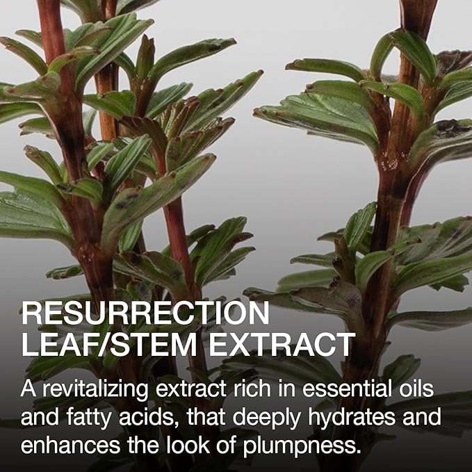 Ogee Beyond Clean Lip Gloss - Certified Organic Lip Gloss for Women - Effortlessly Plump, Hydrate & Add High-Shine Color, Anemone - Rusty Pink Shimmer