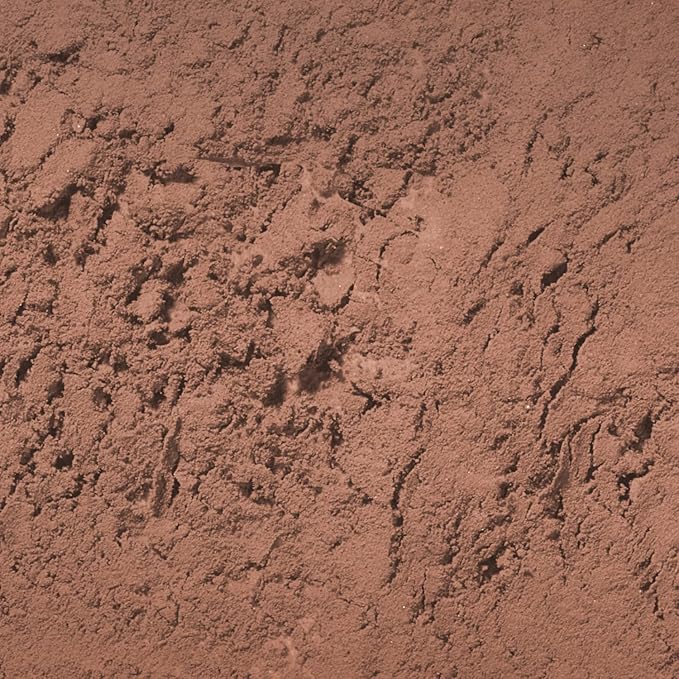 Palladio Brow Powder for Eyebrows, Soft and Natural Eyebrow Powder with Jojoba Oil & Shea Butter, Helps Enhance & Define Brows, Compact Size for Purse or Travel, Includes Applicator Brush, Dark Brown