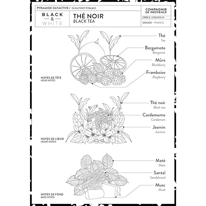 Compagnie de Provence Savon de Marseille Extra Pure Liquid Soap - Black Tea - 16.7 Fl Oz Glass Pump Bottle