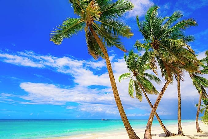 US Organic Fractionated Coconut MCT Oil (Liquid Coconut Oil), USDA Certified Organic, Non-GMO, Perfect for massage, carrier oil for DIY blends, Hair, Skin care. 100% Pure, Hexane-Free (8 oz)