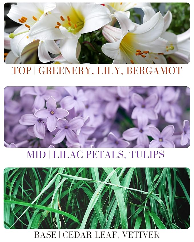 Lilac Blossom Delicious Pure Essential and Fragrance Oil Perfume Roll On with Organic Jojoba Oil, Alcohol Free, Small-Batch, Made in California, 0.34 Fl Oz