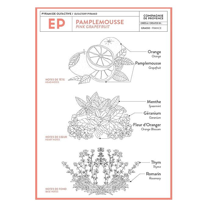 Compagnie de Provence Savon de Marseille Extra Pure Liquid Soap - Pink Grapefruit - 16.7 Fl Oz Glass Pump Bottle and 33.8 fl oz Plastic Bottle Refill